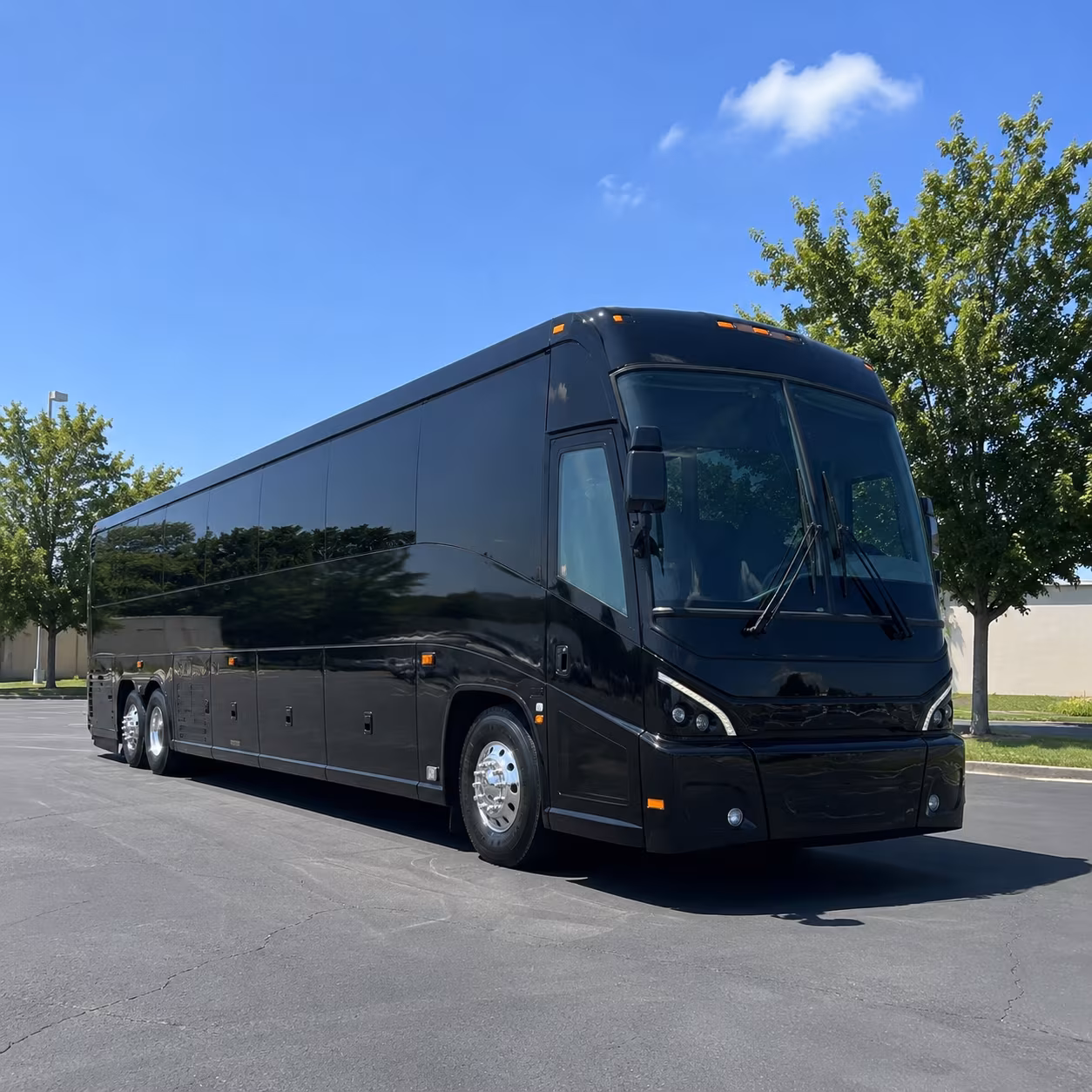 va medical appointments and veterans group transportation in macomb county